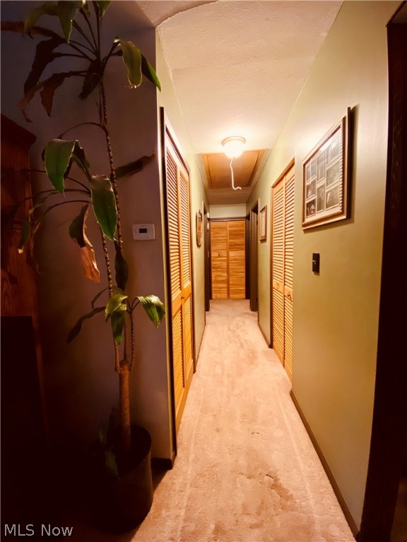 Treelane - Residential