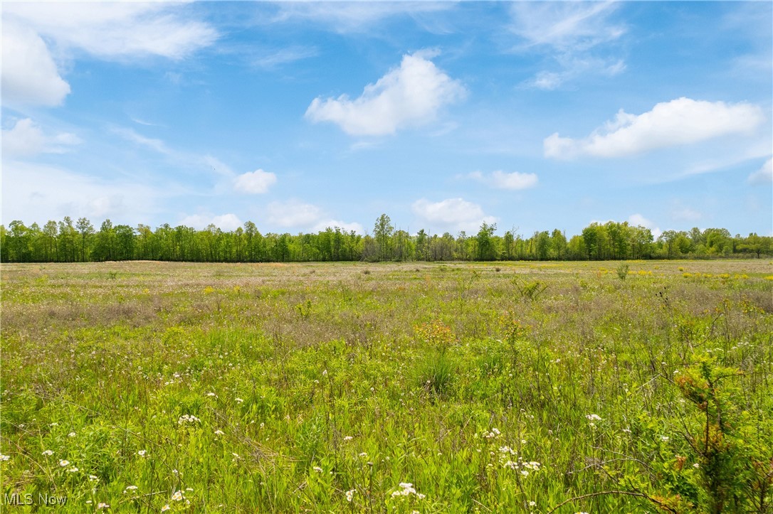 Kennard Road, Lodi, Ohio image 3