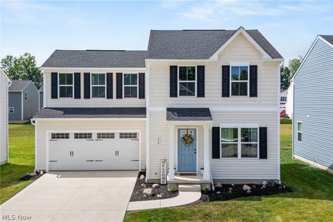 238 Leather Leaf Drive Elyria OH 44035