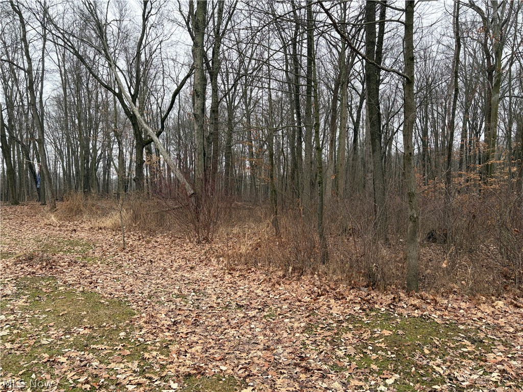 Elm Grove - Residential