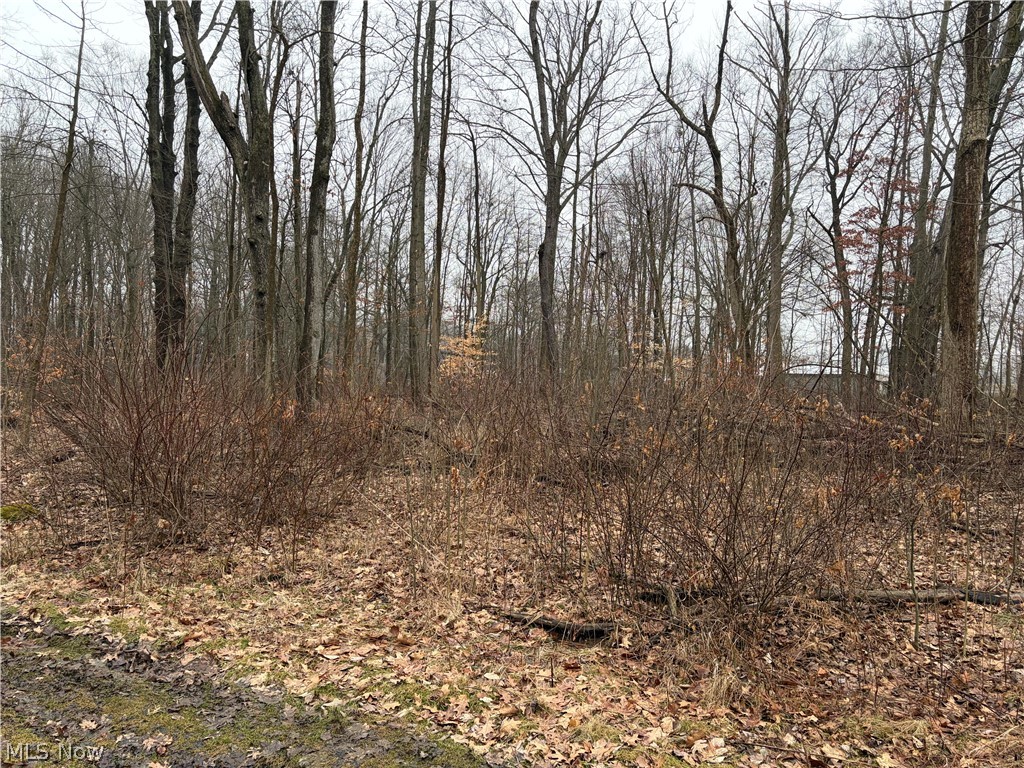 Elm Grove - Residential