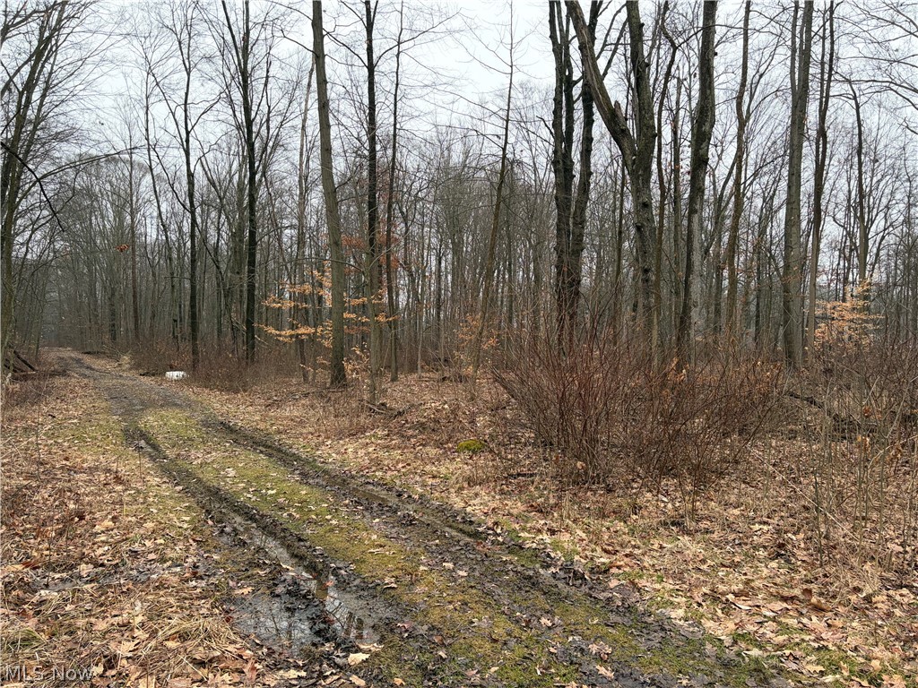 Elm Grove - Residential