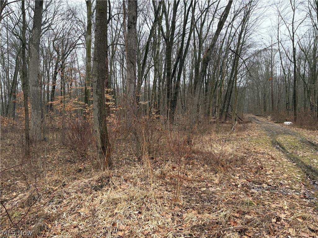 Elm Grove - Residential