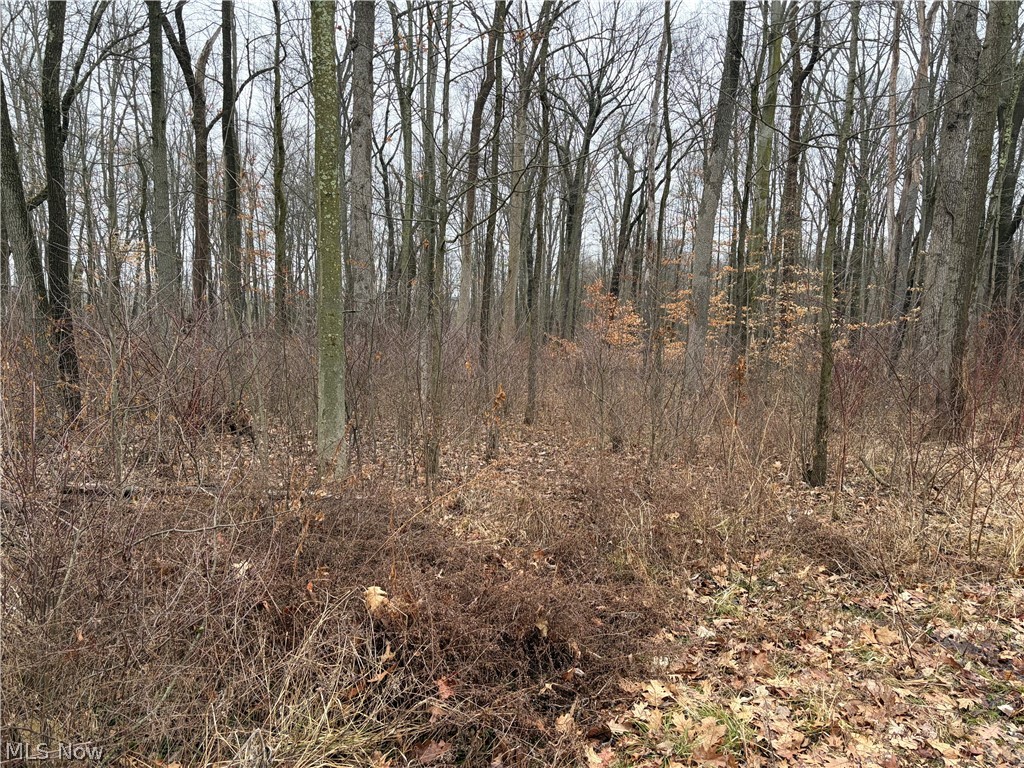 Elm Grove - Residential