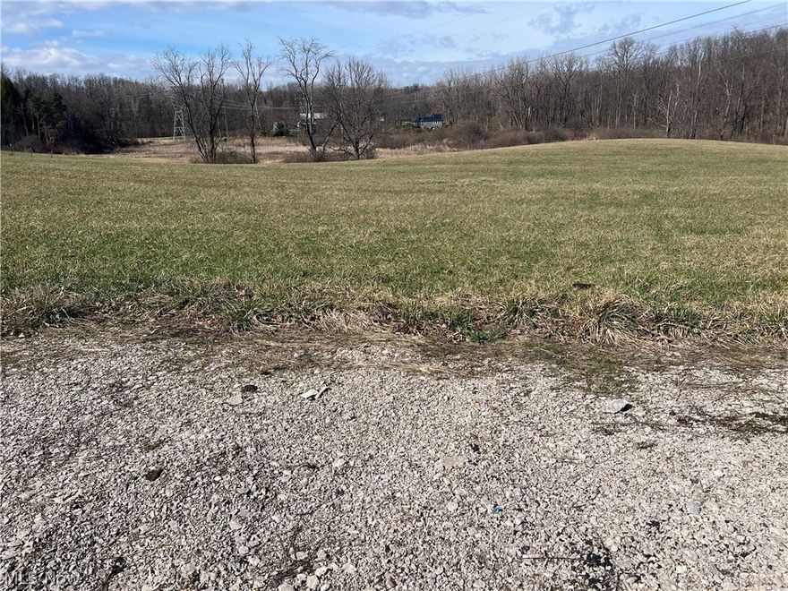 Rare opportunity to build your dream home in Granger Township within the award-winning Highland School District! This approximately 10-acre parcel offers the perfect blend of privacy, space, and location—an increasingly hard-to-find combination in today’s market.

The lot features a gentle slope, ideal for excellent natural drainage and perfectly suited for a walk-out basement design, opening the door to endless custom home possibilities. With limited available land in this desirable area, this property presents a unique chance to secure a premium homesite surrounded by quality homes and scenic surroundings.

Whether you're looking to build now or invest for the future, this parcel offers flexibility, and a location that continues to be in high demand.

Don’t miss your chance to claim one of the few remaining buildable lots in Granger Township!