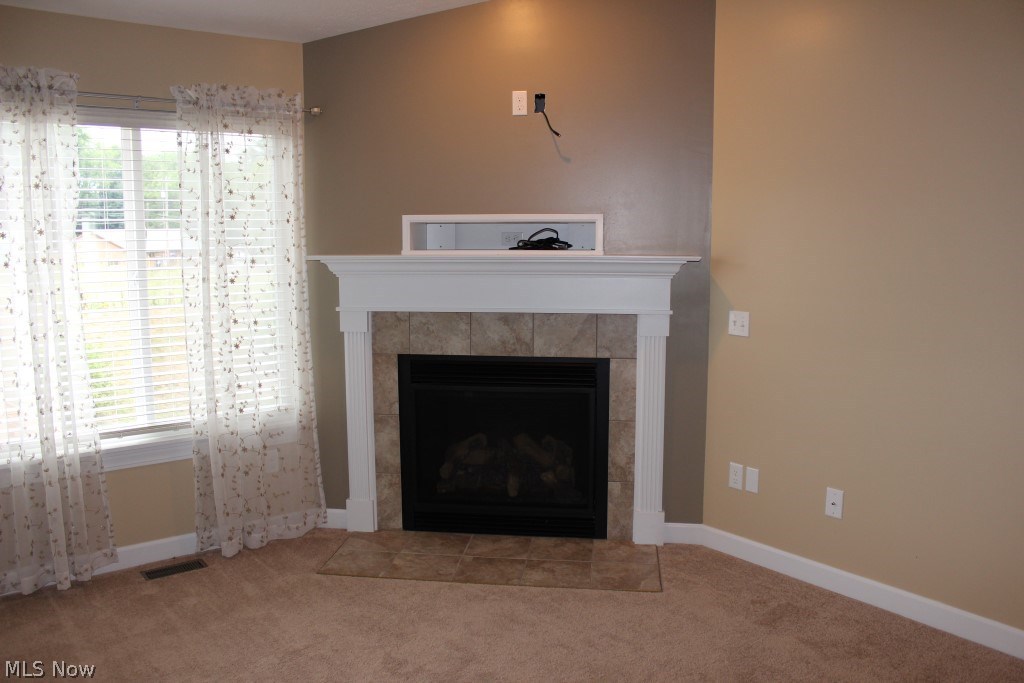 Brittany Meadows Condo - Residential