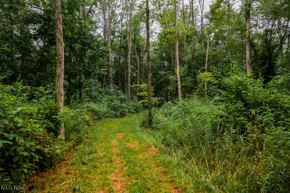 Day Avenue, Navarre, Ohio image 23