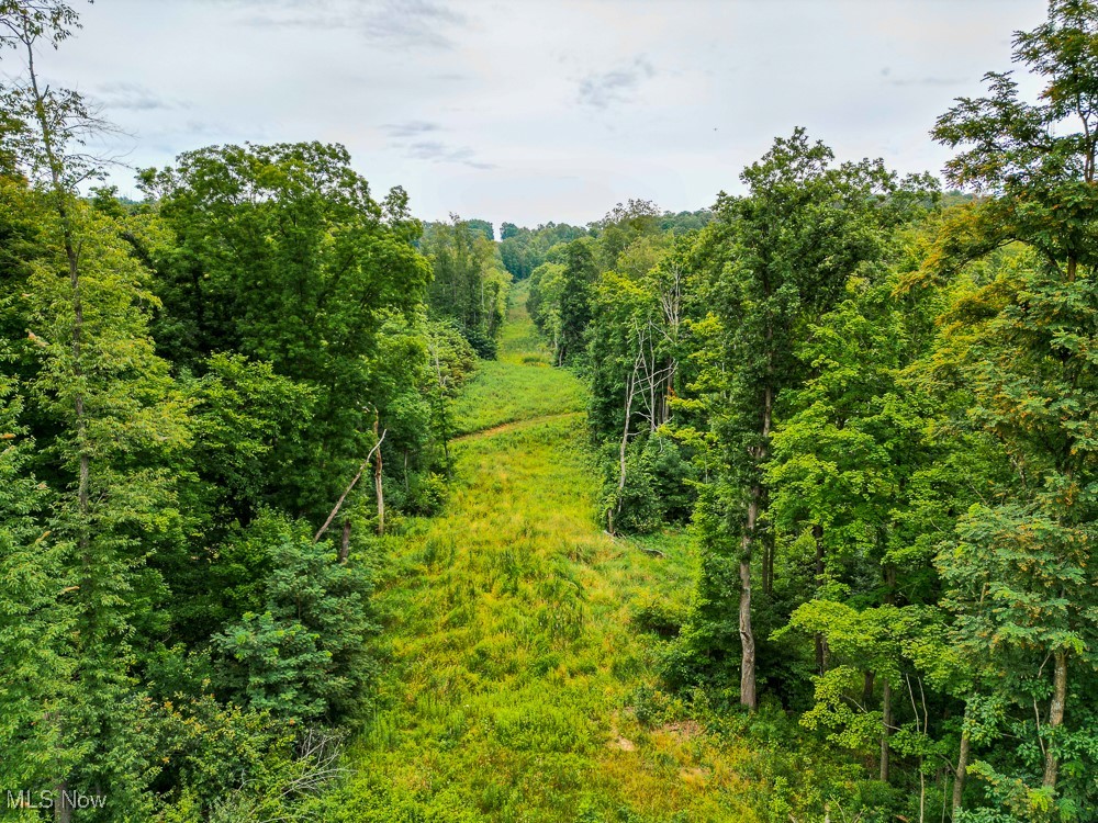 Day Avenue, Navarre, Ohio image 35