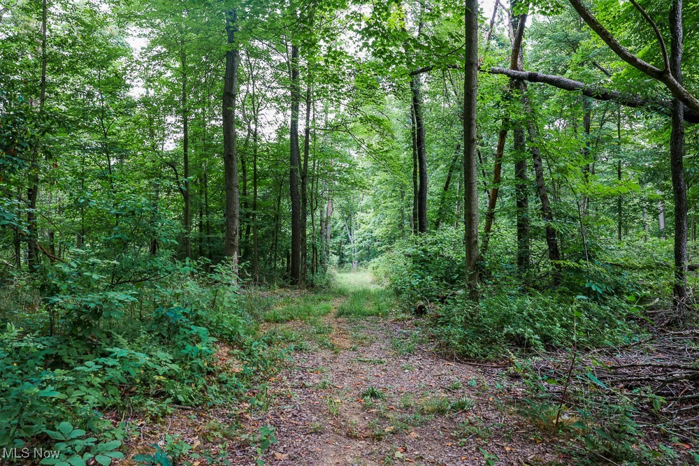 Day Avenue, Navarre, Ohio image 11