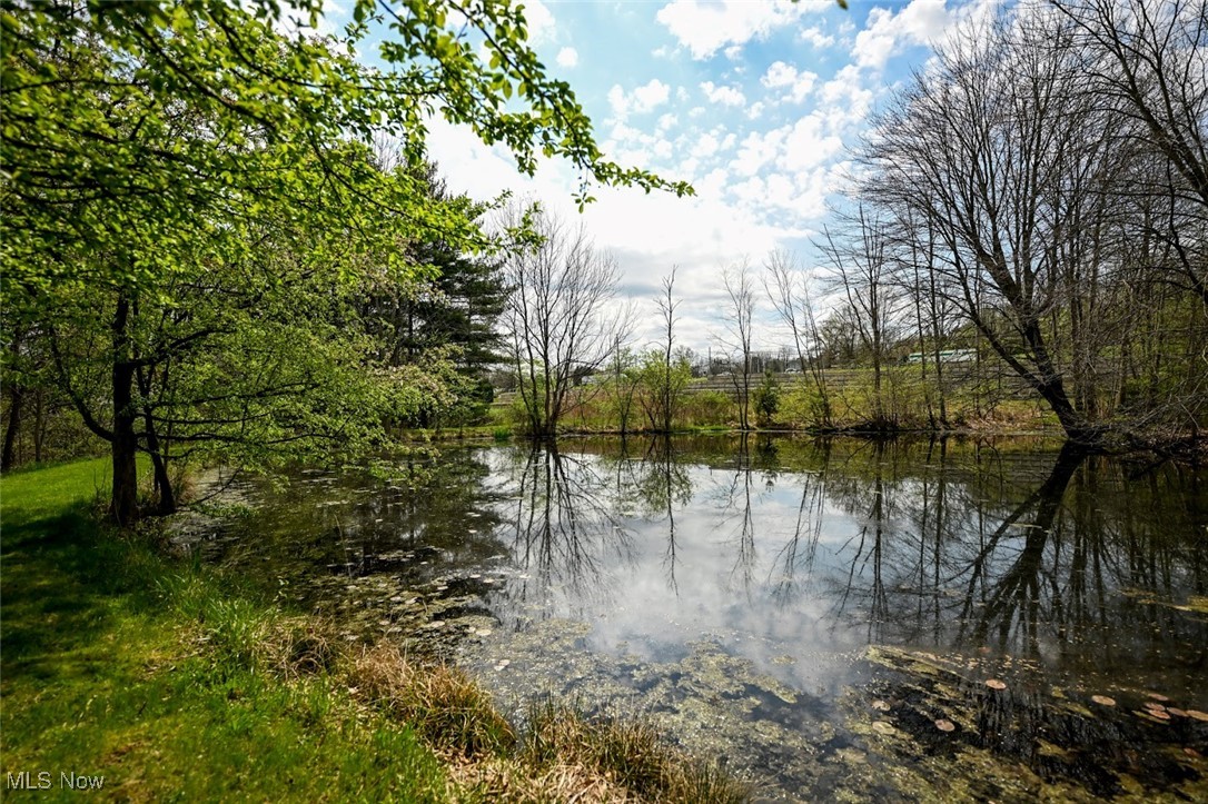 93 N Hametown Road, Bath, Ohio image 3