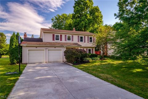 7348 Selworthy Lane Solon, OH 44139