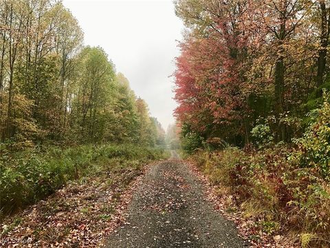 Vacant Land For Sale - Bryant<br/> Garrettsville, OH 44231