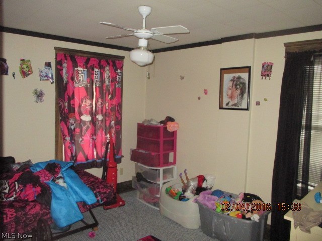 Belle Terrace - Residential