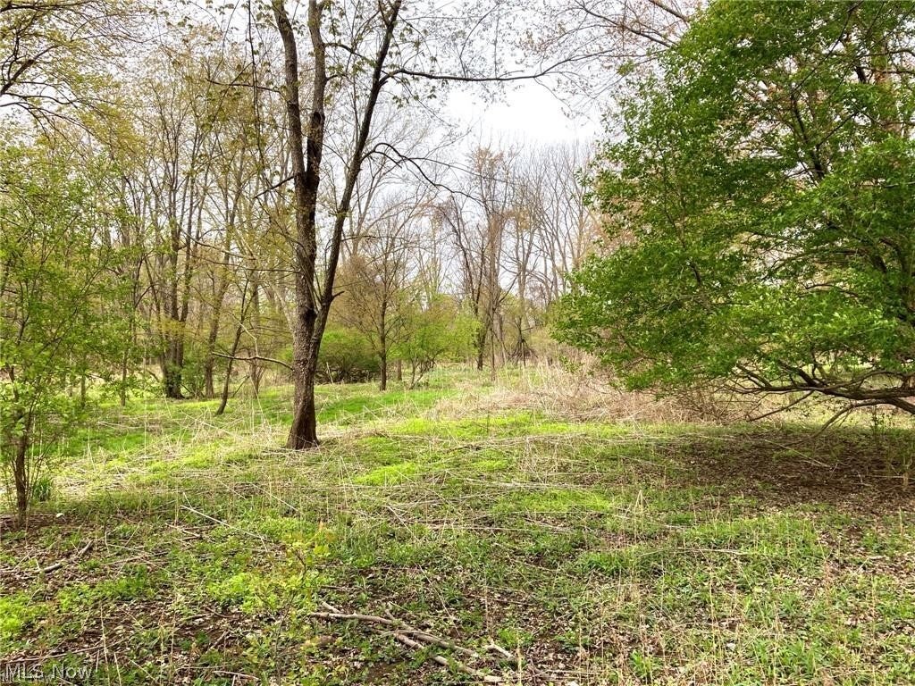 V/L Schocalog Road