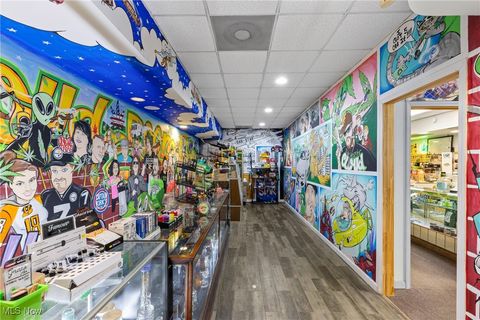 Tiny photo for 3052 Belmont Street, Bellaire, OH 43906 (MLS # 5178121)