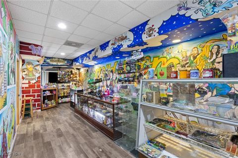 Tiny photo for 3052 Belmont Street, Bellaire, OH 43906 (MLS # 5178121)