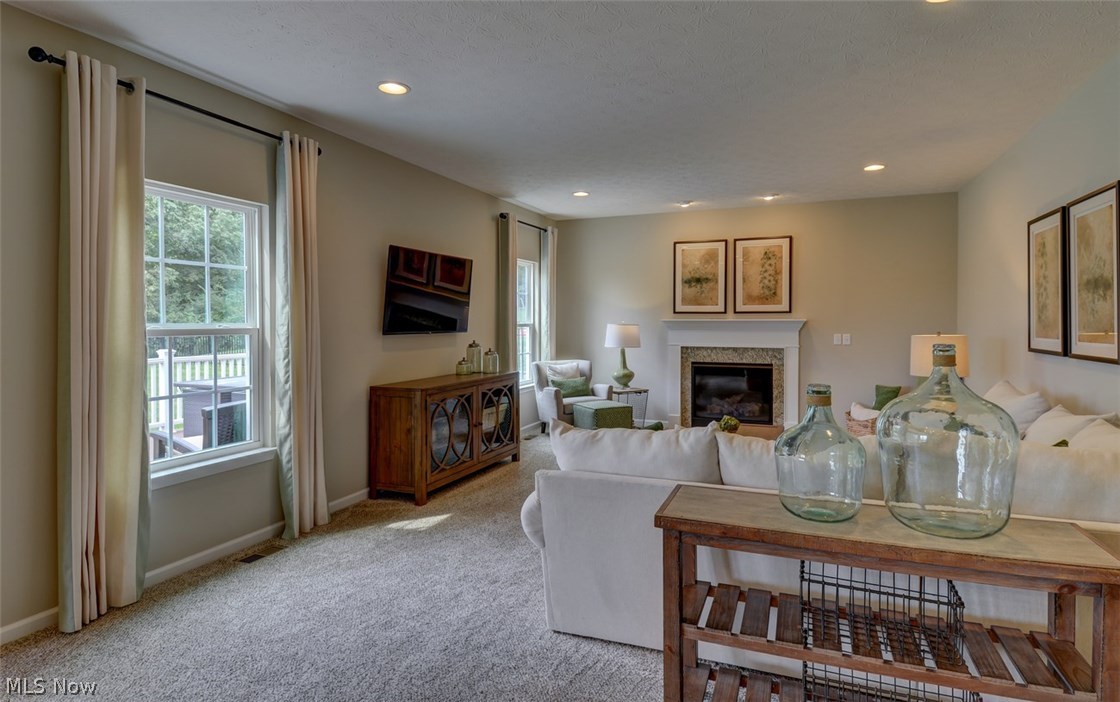 The Preserve at Salt Creek - Residential