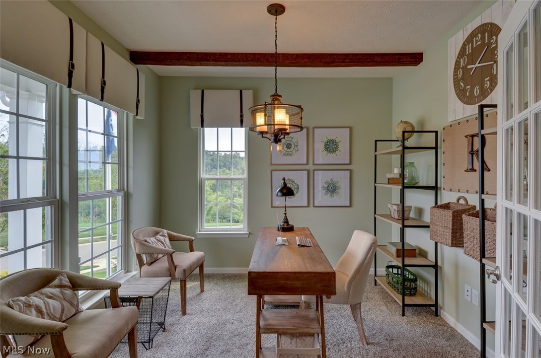 The Preserve at Salt Creek - Residential