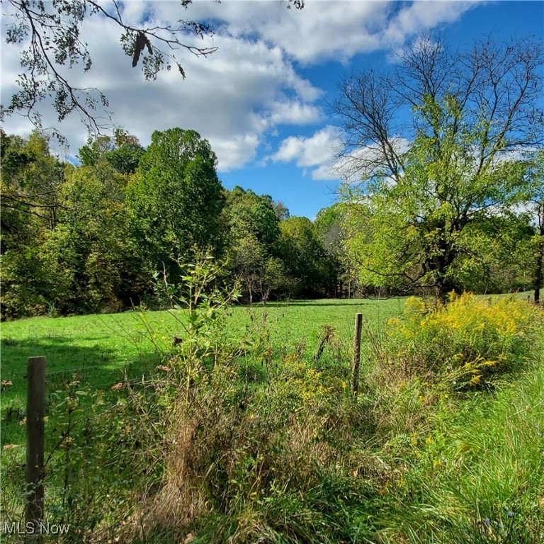 10975 Drake Martin Road, Blue Rock, Ohio image 11