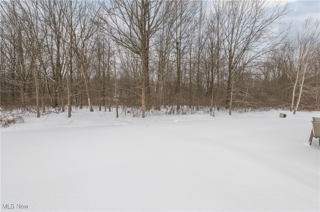 Forest Park Condo - Residential