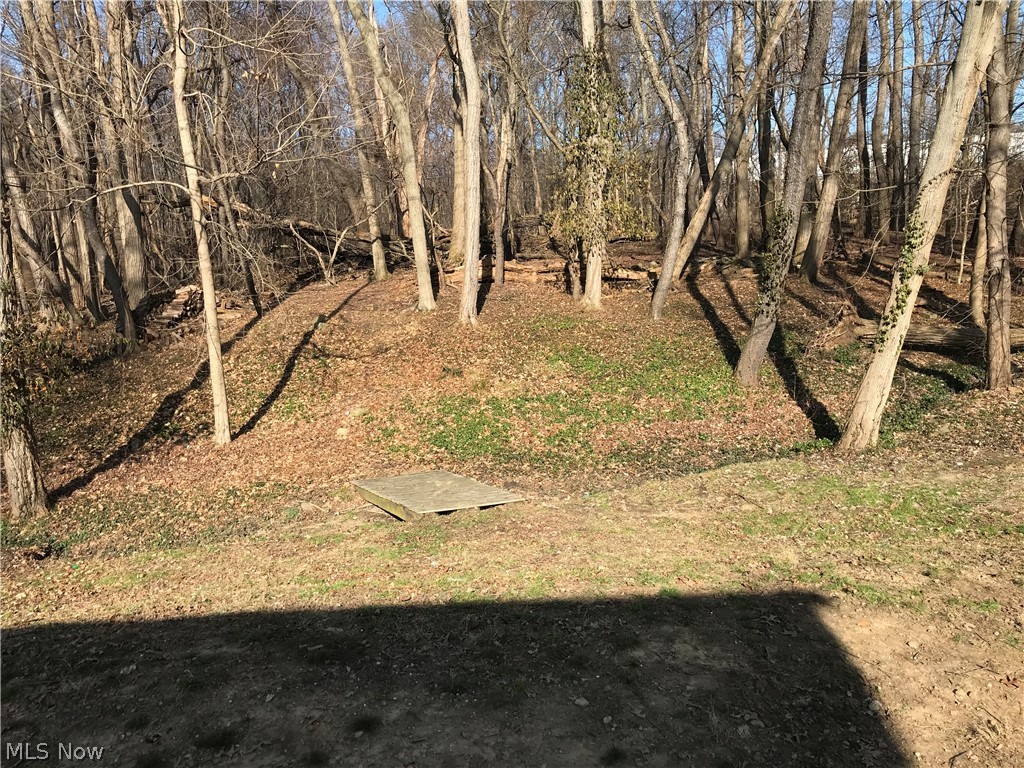 Lot 26 in the Lewis Allotment - Residential