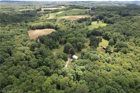 Vacant Land For Sale - 11811 Gaston Road<br/> Negley, OH 44441