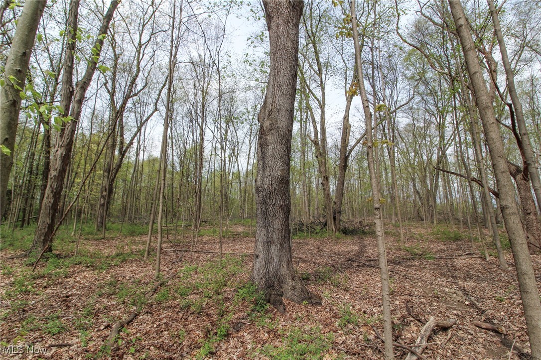 Wayland Road, Diamond, Ohio image 15
