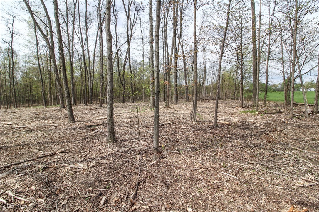 Wayland Road, Diamond, Ohio image 6
