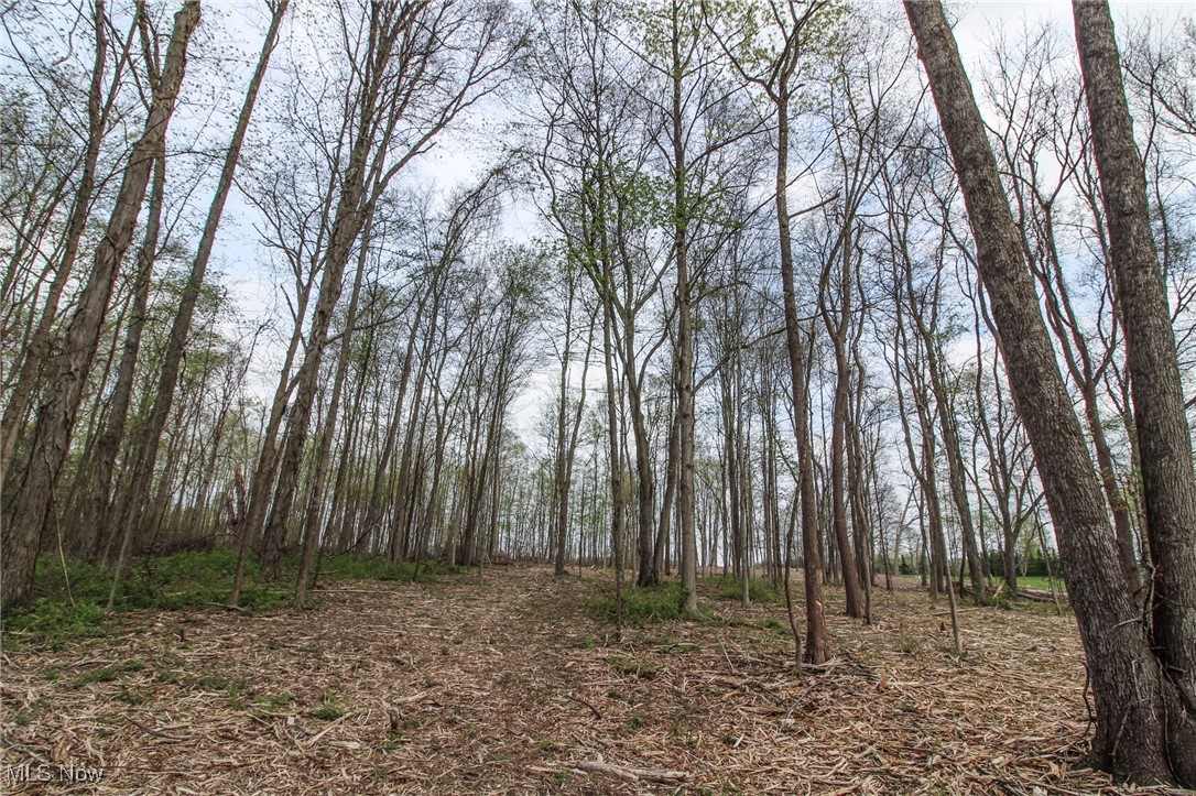 Wayland Road, Diamond, Ohio image 12