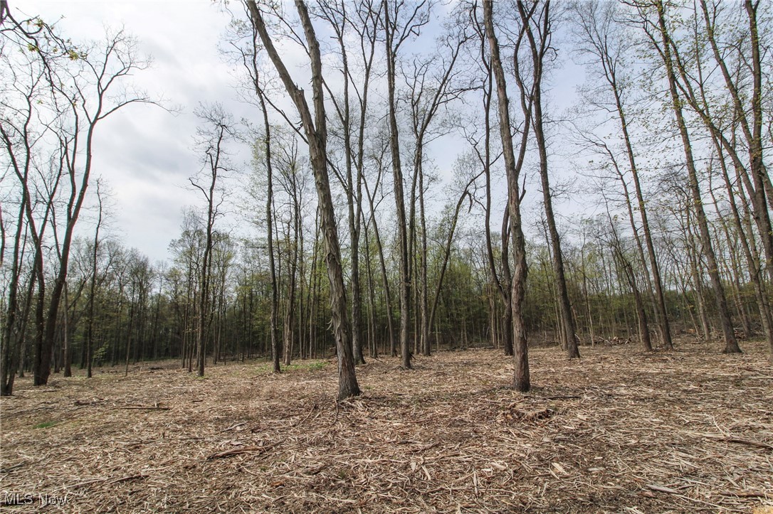 Wayland Road, Diamond, Ohio image 7