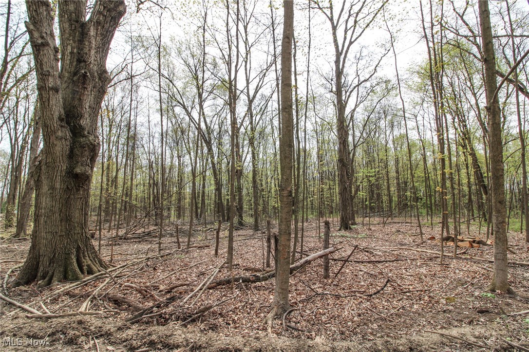 Wayland Road, Diamond, Ohio image 19