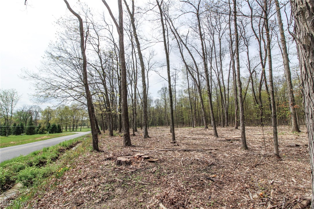 0 Wayland Road