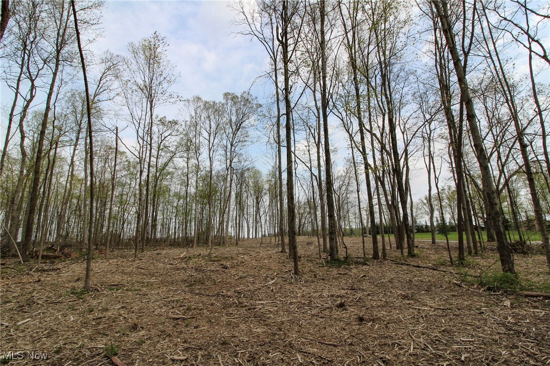 Wayland Road, Diamond, Ohio image 11