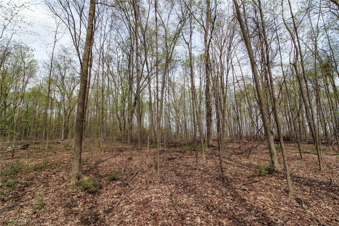 Wayland Road, Diamond, Ohio image 16