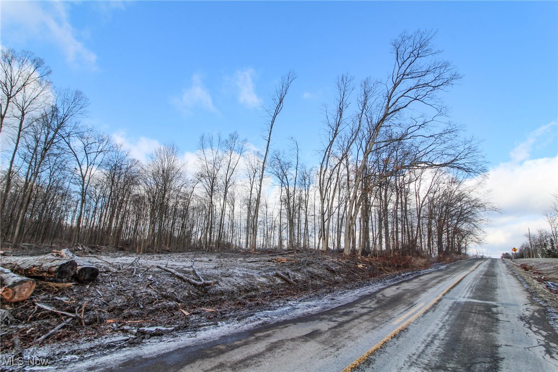 Wayland Road, Tallmadge, Ohio image 1