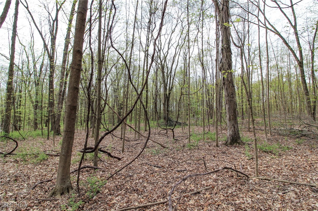 Wayland Road, Diamond, Ohio image 17