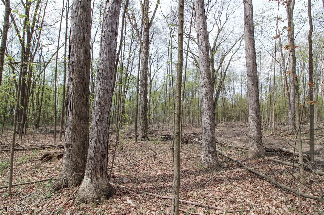 Wayland Road, Diamond, Ohio image 18