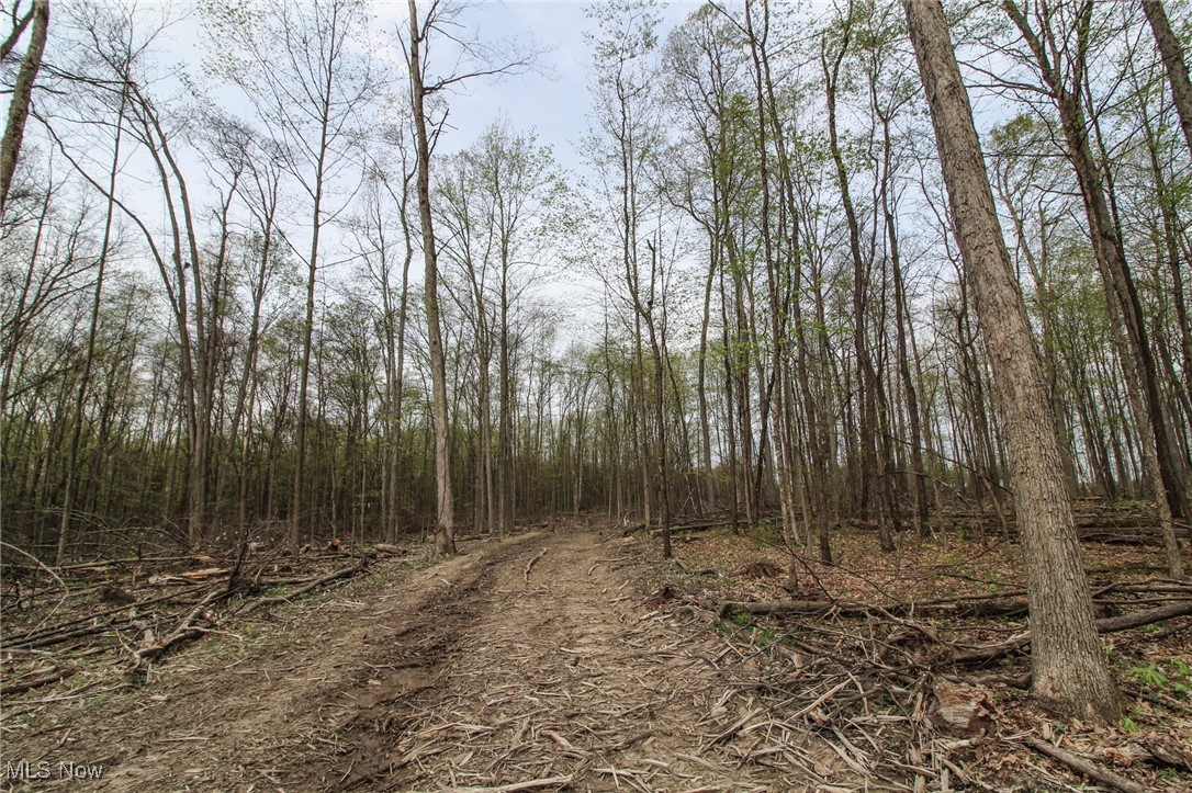 Wayland Road, Diamond, Ohio image 10