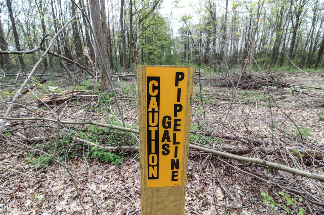 Wayland Road, Diamond, Ohio image 21