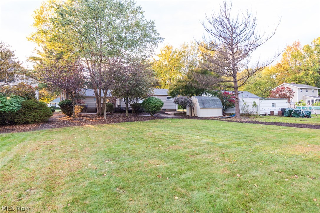 Sina C Austin - Residential