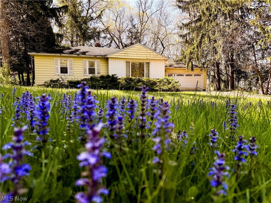 Photo of 9187 Wallings Road, North Royalton, OH 44133 (MLS # 5206787)