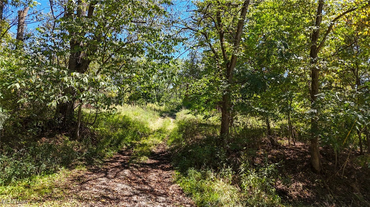 36880 Sheep Skin Ridge Road, Lower Salem, Ohio image 3