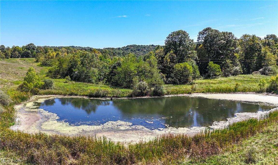 36880 Sheep Skin Ridge Road, Lower Salem, Ohio image 17