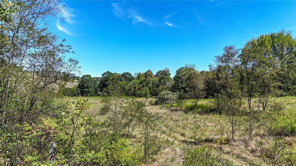 36880 Sheep Skin Ridge Road, Lower Salem, Ohio image 16