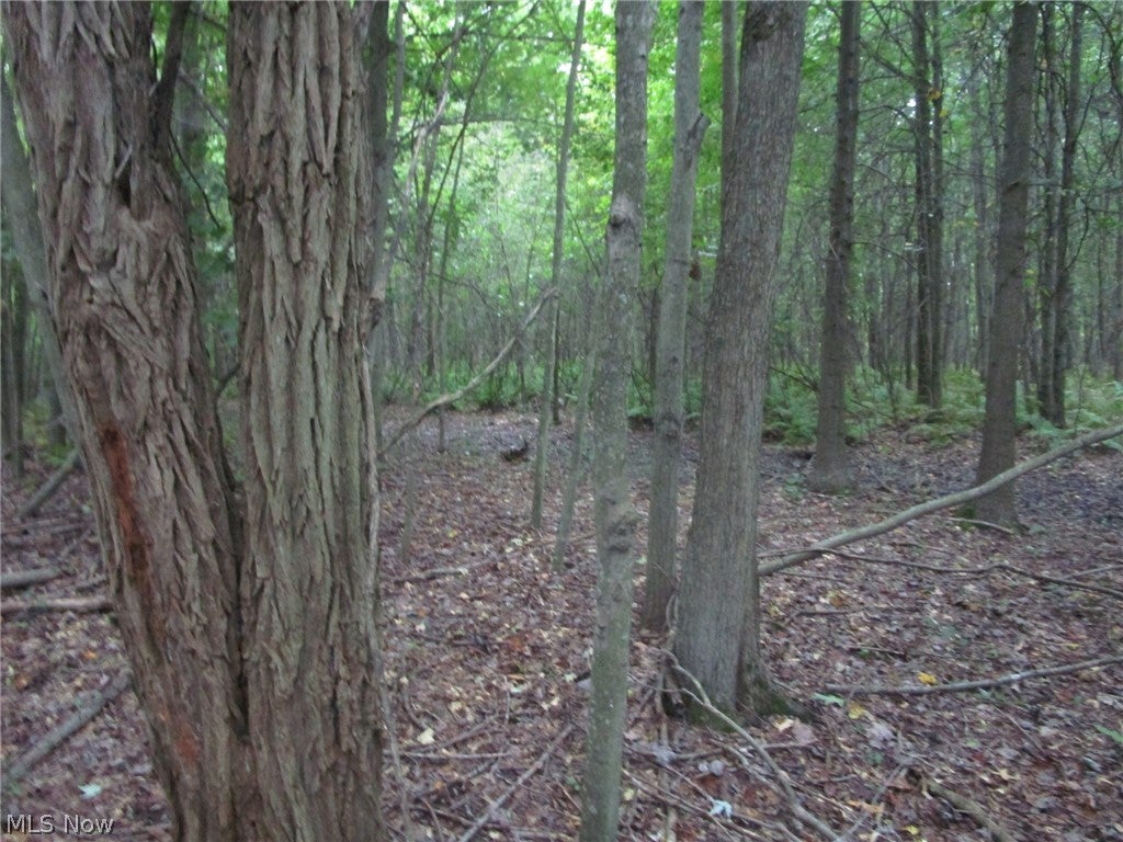 1 Countyline Road