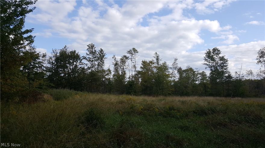 In this 46.2 acre parcel there is a second parcel to the east that goes with it. Property was recently select cut, the front is overgrown hay field that could be cleared and replanted. Great hunting property or build your dream home here.