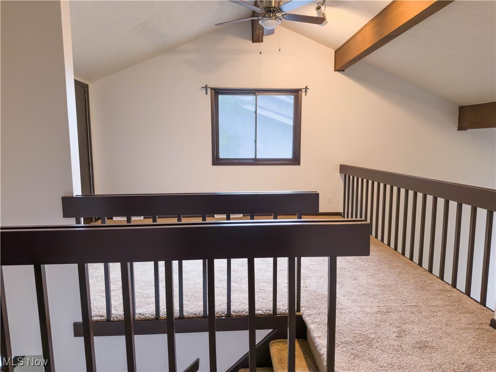 Belvoir Mews - Residential Lease