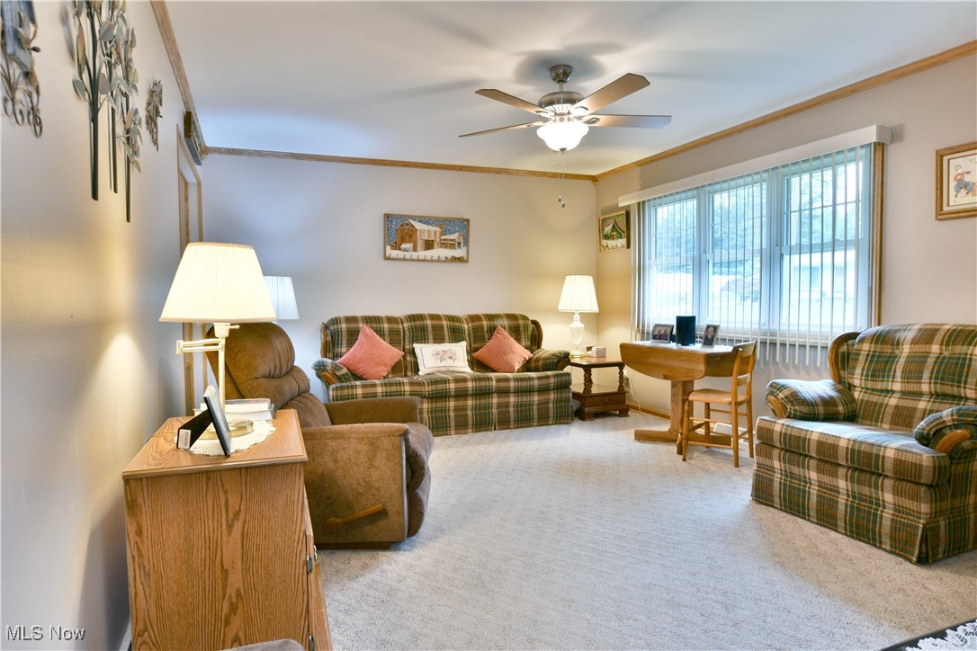 8293 Englewood Street, Warren, Ohio image 24