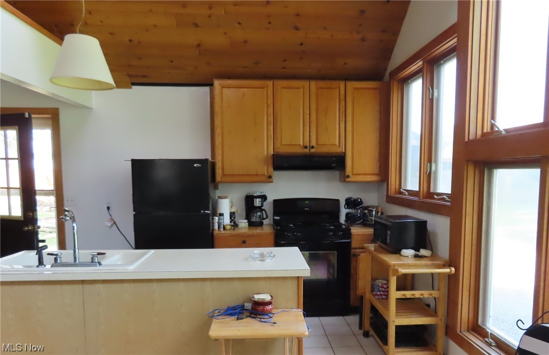 Vermilion on the Lake - Residential