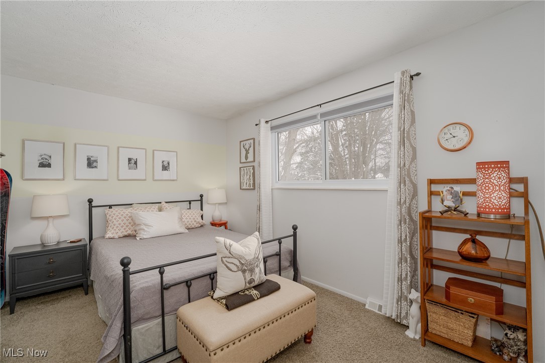 9013 Birchwood Drive, Twinsburg, Ohio image 20